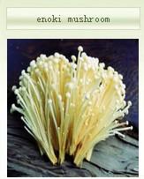 enoki mushroom