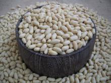 blanched peanut