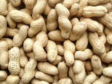 peanut in shell
