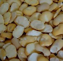 Multi-functional 6FW-D1 Broad Bean Peeling Machine