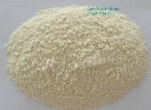 dried  powder ed  garlic 
