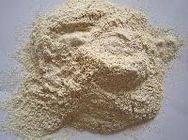 dehydrated onion powder