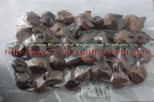 black garlic solo