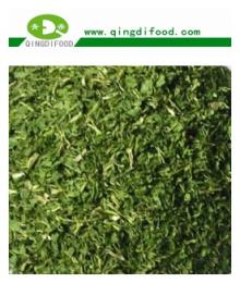  Dehydrated   Coriander  leaves