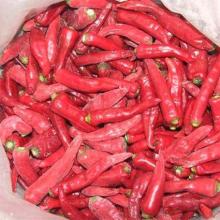 Supply China export  Frozen   chilli 