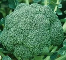 Frozen Broccoli