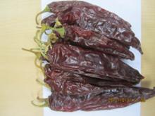 Sweet Paprika-high quality