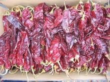  high   quality   paprika  (washing and drying)