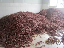  Sweet   Dried   Paprika 