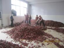  Red   Sweet   Paprika 