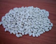 white kidney  beans 