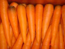 Fresh Carrot