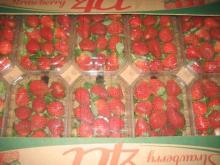 Fresh Strawberry