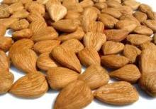 Sweet/  Bitter   almond   kernels 