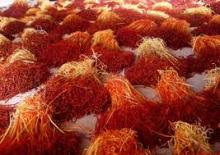 Red Saffron