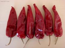 Hot chilli
