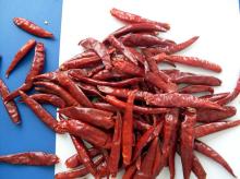 Qiubei Chilli