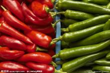 High Quality Hot Chilli