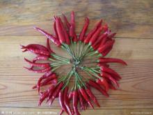 Pod pepper high quality-2012 new corn