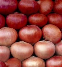 Onion