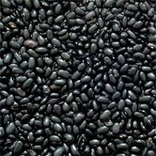 Black Bean