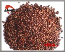 Herbal extract, Grape Seed Extract powder, 95% Proanthocyanidin (OPC)