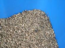 sugar  beet   pulp 