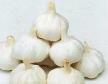 pure white garlic