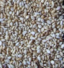 roasted white/black sesame seed