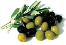 Olive