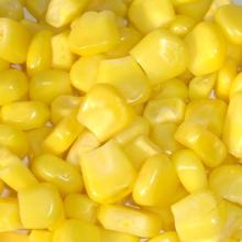 Canned Sweet Corn Kernel/Canned Food