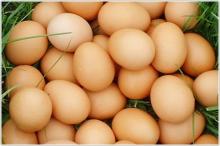 Chicken eggs