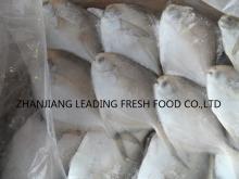 Silver Pomfret