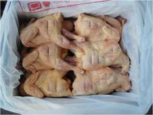 BROILER AND HEN