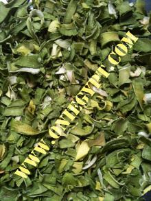 Dried Leek