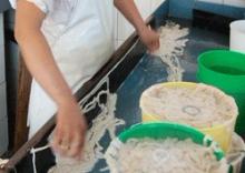 fresh salted hog casing pork casings