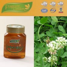 pure natural clover honey for sale