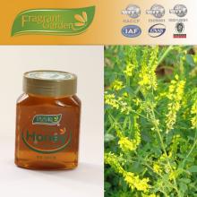 natural sweet  clover   honey  seller