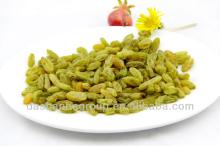 Dried green raisin and sultan raisins and dried fruit