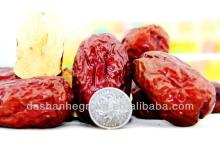 Dried red date and date fruit with large quantity jujube