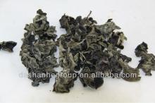 Died zhejiang black fungus and fungus mushroom whole