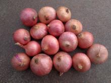 red onion