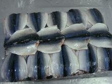 Frozen Pacific Mackerel Flap