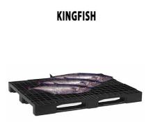 KINGFISH