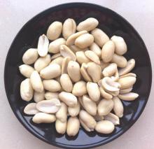  blanched  peanut