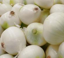 white onion
