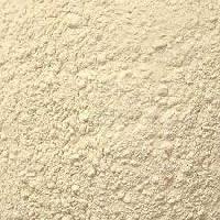 dehydrated white onion powder