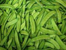  china   frozen  sweet  broad  pea