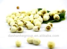 Dried lotus seed with nut and kernel