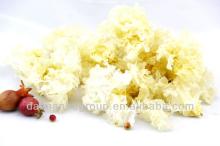 Dried white fungus and snow fungus mushroom